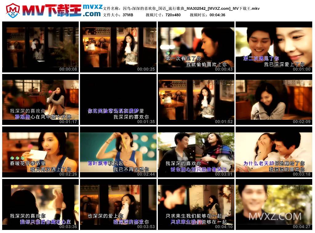 囚鸟-深深的喜欢你_国语_流行歌曲_MA302542